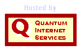 Quantum Internet Services
